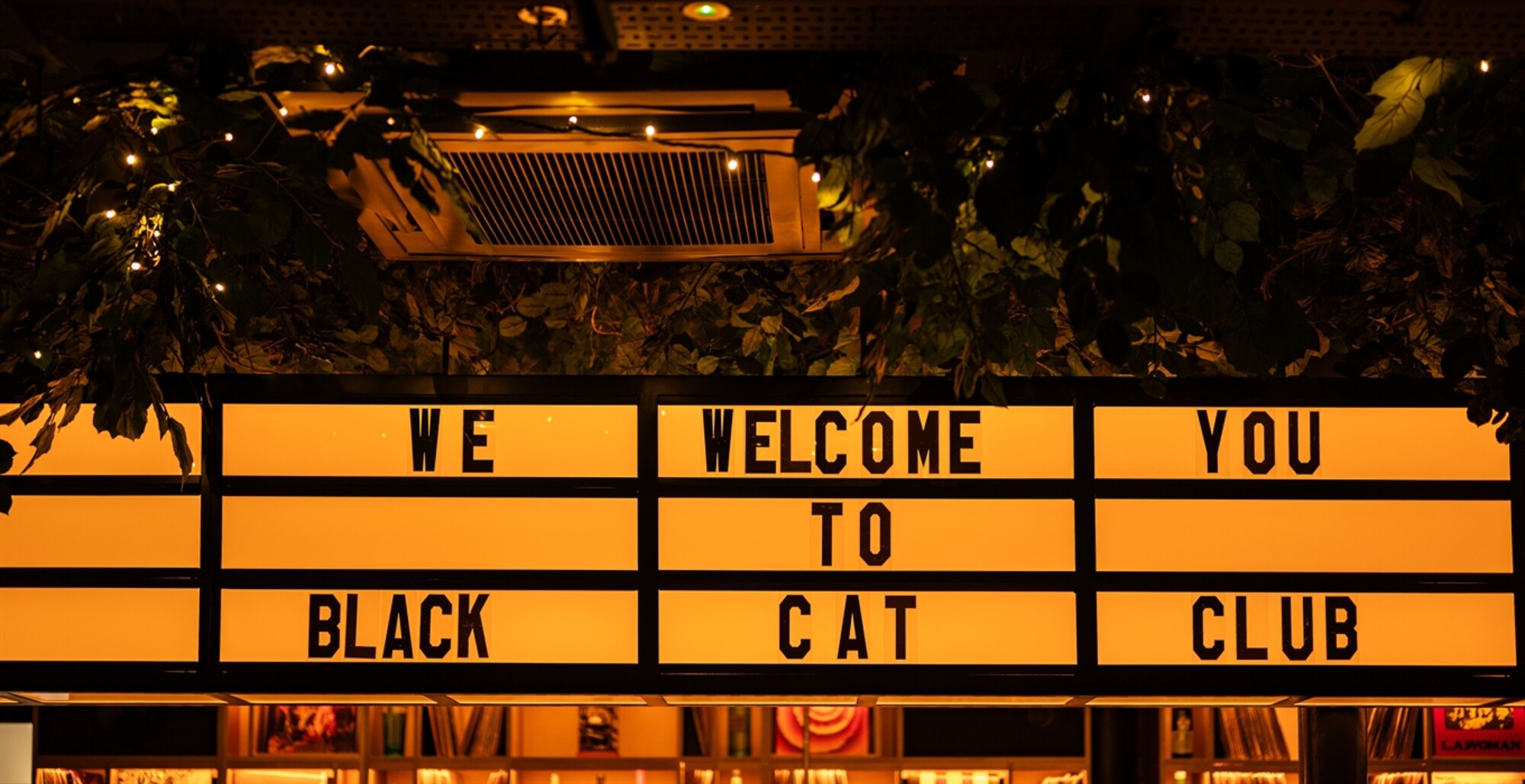 Black cat 2